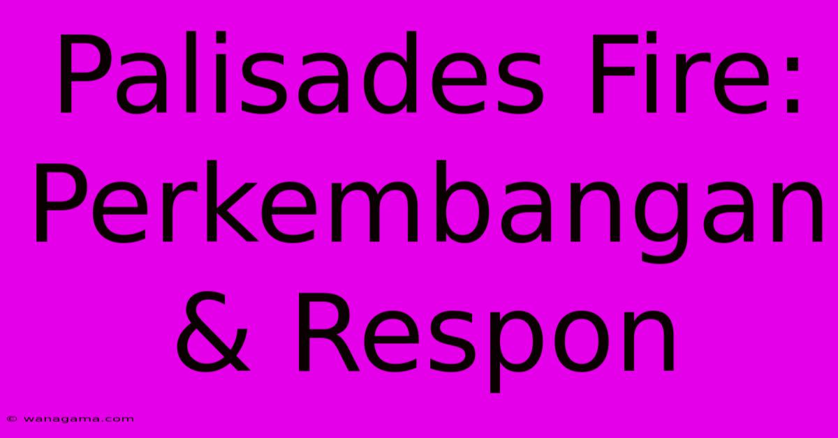 Palisades Fire:  Perkembangan & Respon