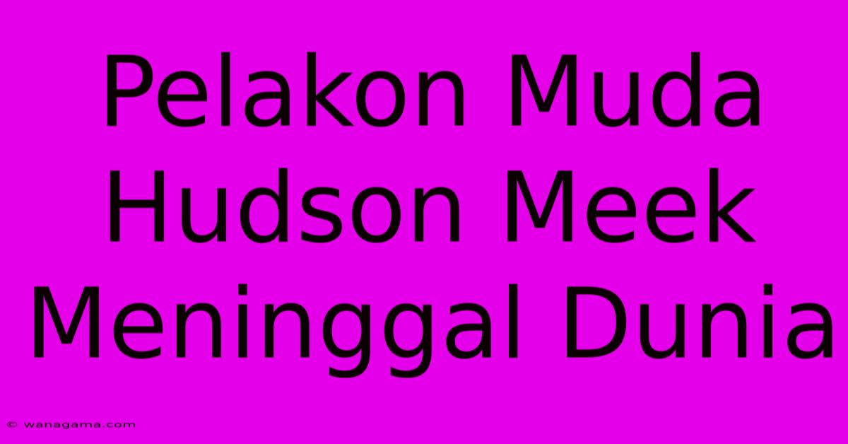 Pelakon Muda Hudson Meek Meninggal Dunia