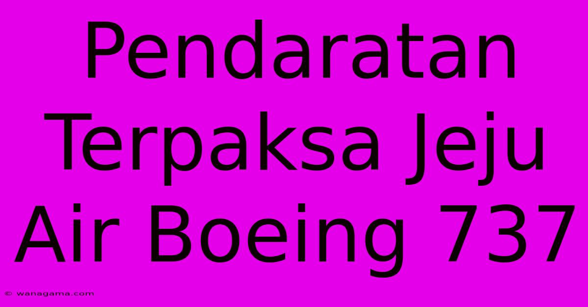 Pendaratan Terpaksa Jeju Air Boeing 737