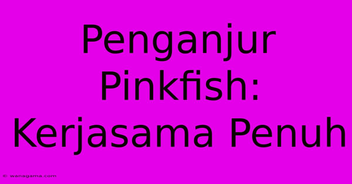 Penganjur Pinkfish: Kerjasama Penuh