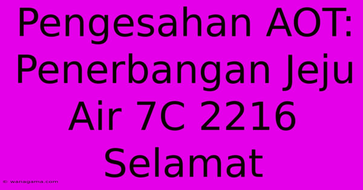 Pengesahan AOT: Penerbangan Jeju Air 7C 2216 Selamat