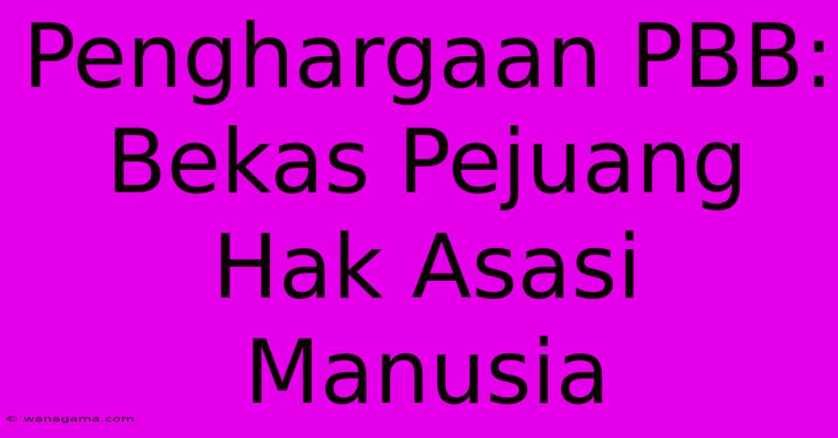 Penghargaan PBB: Bekas Pejuang Hak Asasi Manusia