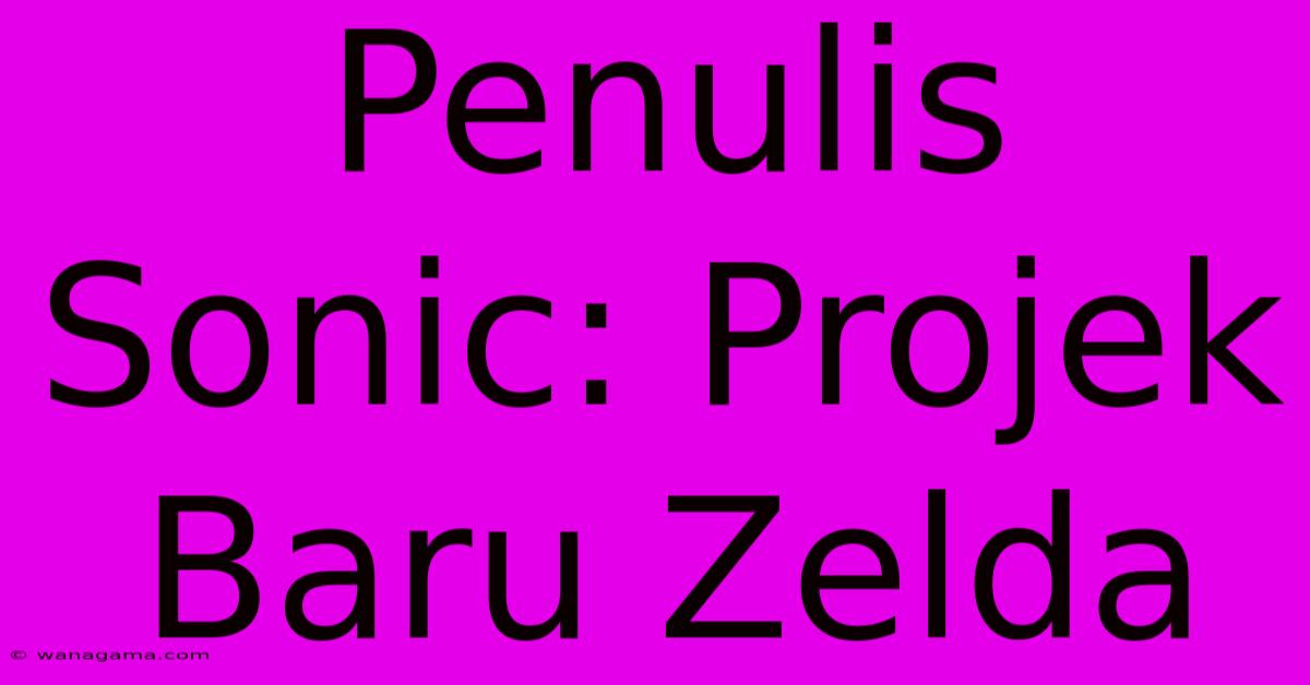 Penulis Sonic: Projek Baru Zelda