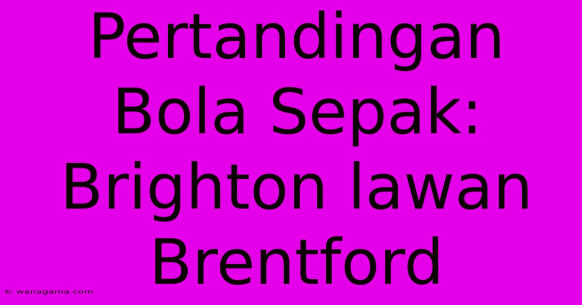 Pertandingan Bola Sepak: Brighton Lawan Brentford