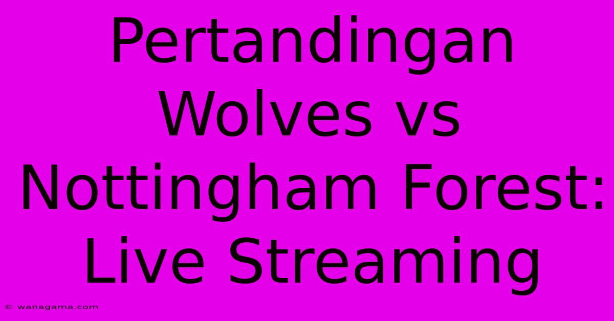 Pertandingan Wolves Vs Nottingham Forest: Live Streaming