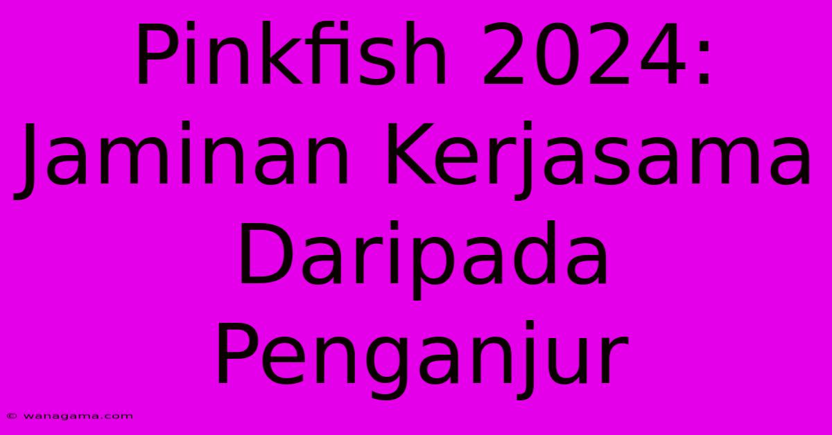 Pinkfish 2024: Jaminan Kerjasama Daripada Penganjur