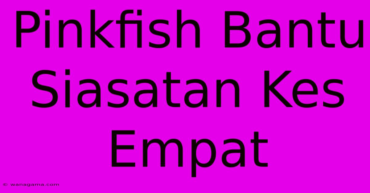 Pinkfish Bantu Siasatan Kes Empat