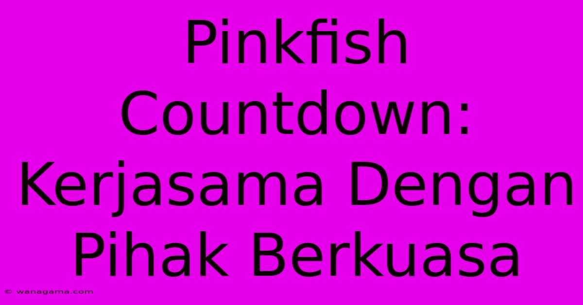 Pinkfish Countdown: Kerjasama Dengan Pihak Berkuasa