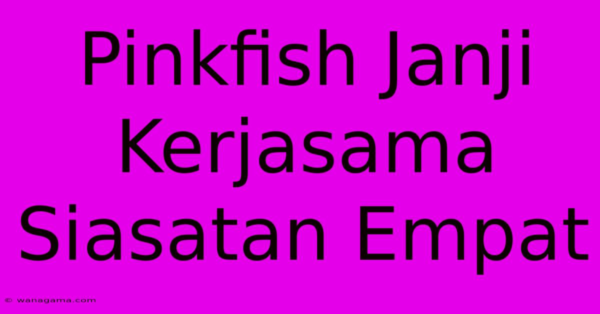 Pinkfish Janji Kerjasama Siasatan Empat