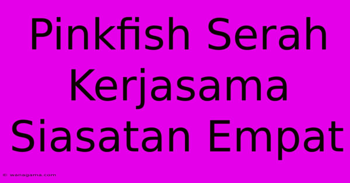 Pinkfish Serah Kerjasama Siasatan Empat