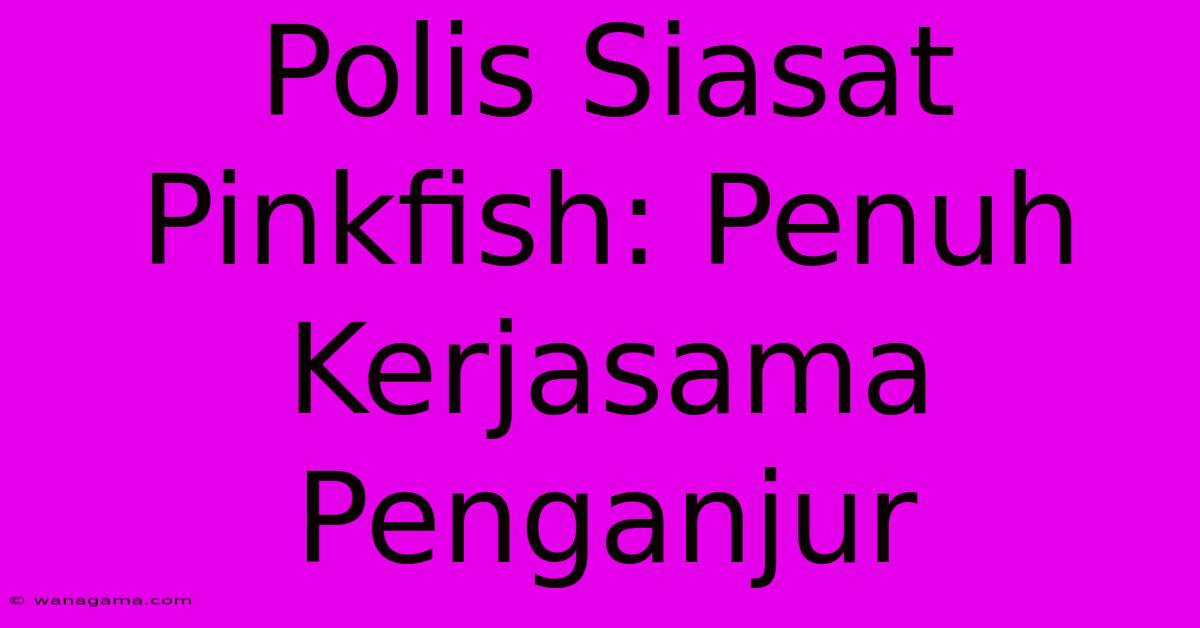 Polis Siasat Pinkfish: Penuh Kerjasama Penganjur