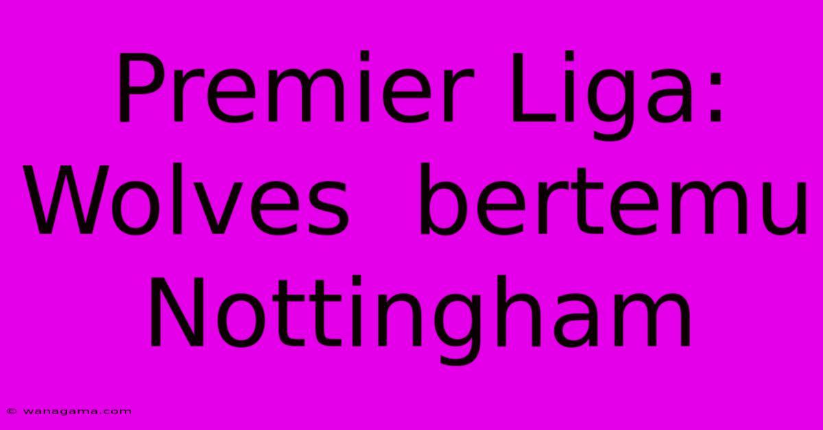 Premier Liga:  Wolves  Bertemu Nottingham