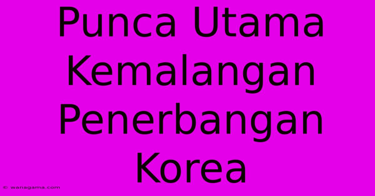 Punca Utama Kemalangan Penerbangan Korea