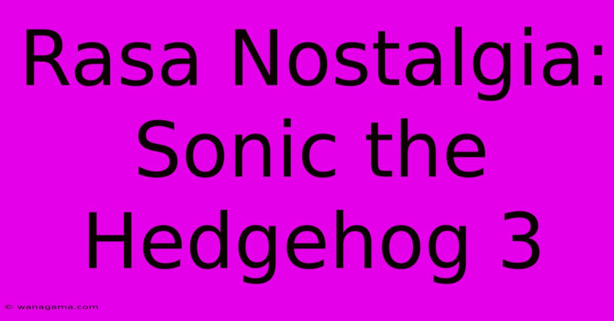 Rasa Nostalgia: Sonic The Hedgehog 3