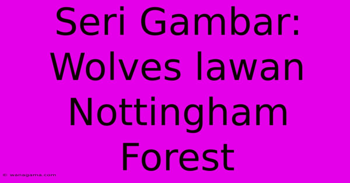 Seri Gambar: Wolves Lawan Nottingham Forest