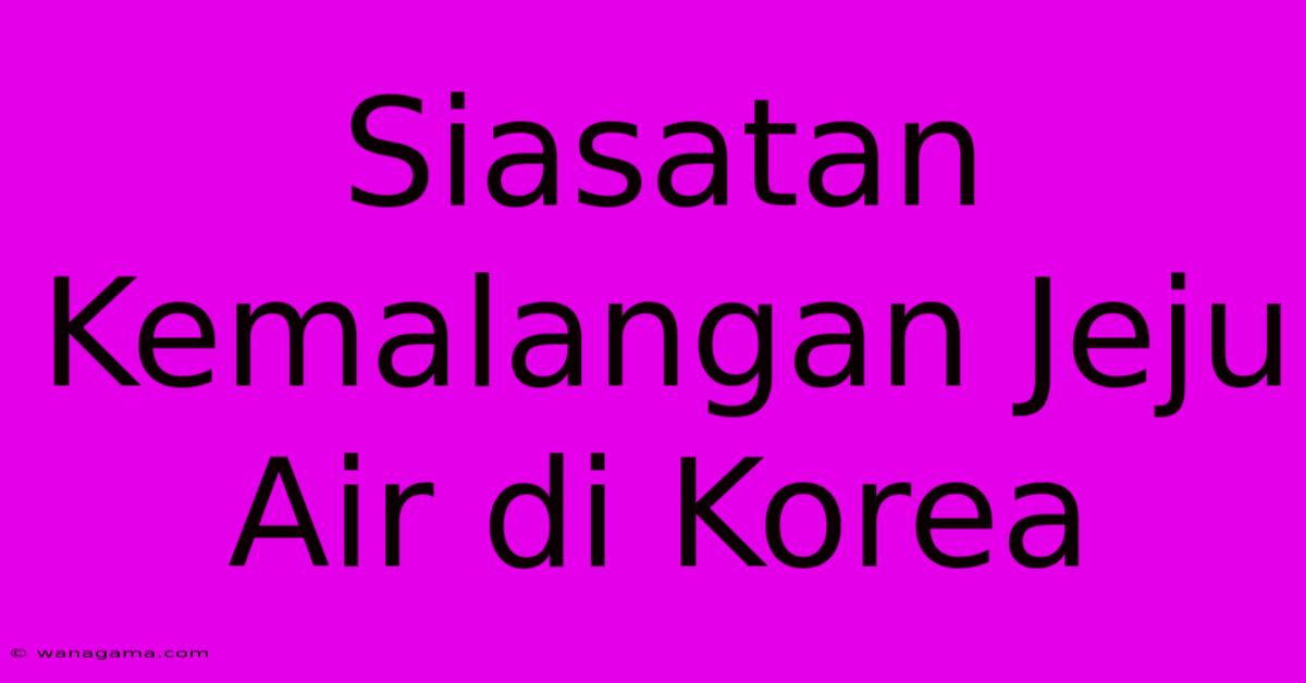 Siasatan Kemalangan Jeju Air Di Korea