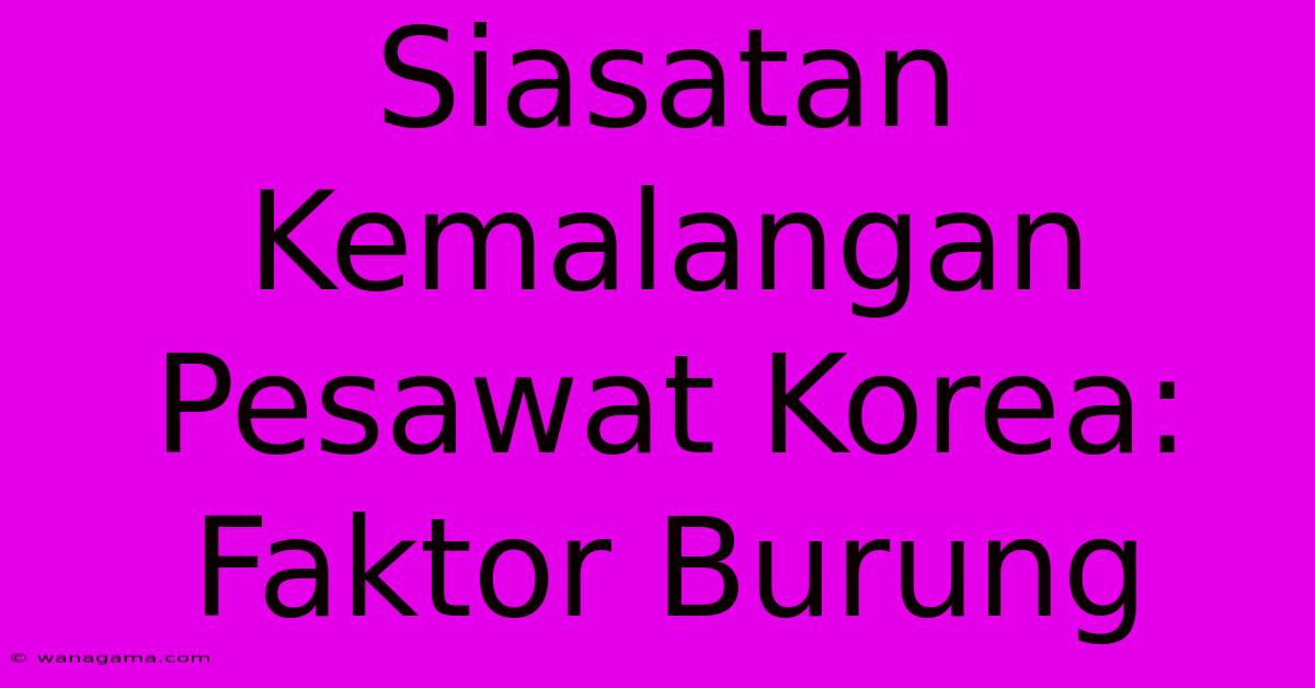 Siasatan Kemalangan Pesawat Korea: Faktor Burung