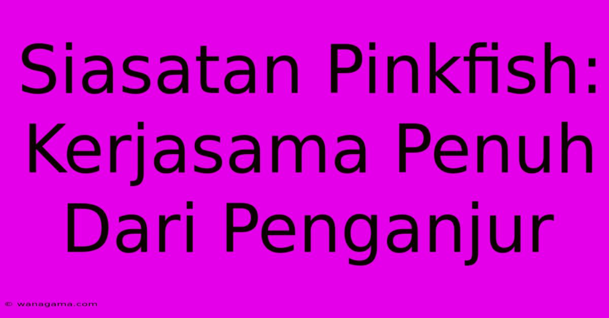 Siasatan Pinkfish: Kerjasama Penuh Dari Penganjur