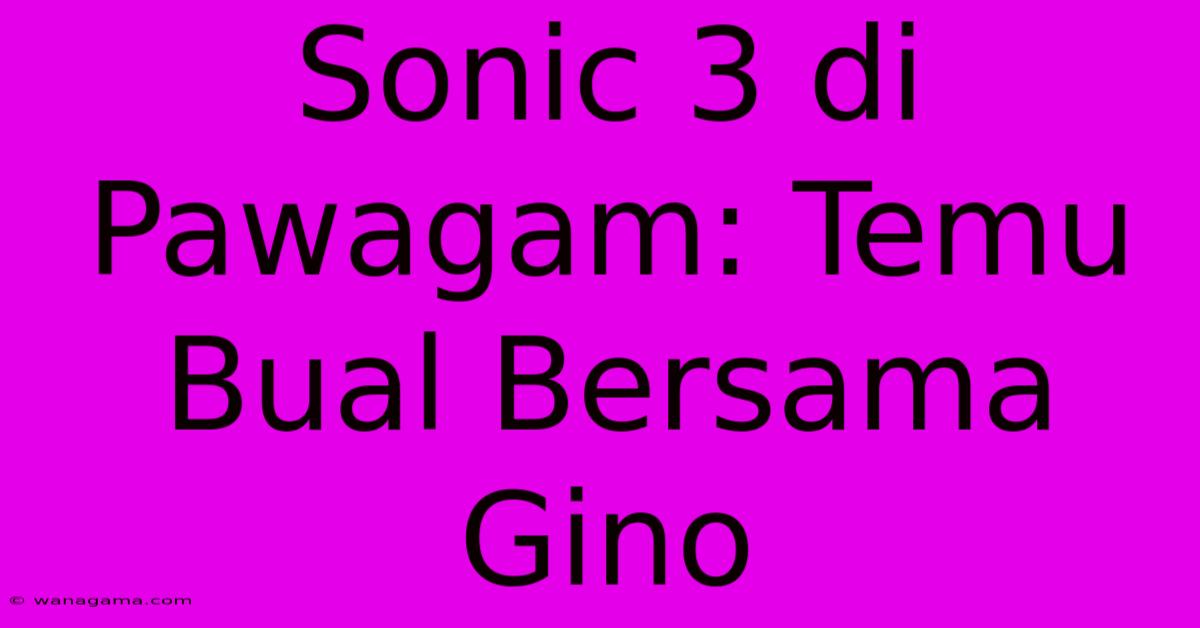 Sonic 3 Di Pawagam: Temu Bual Bersama Gino