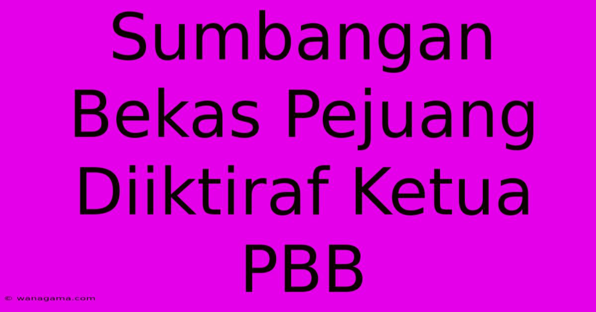 Sumbangan Bekas Pejuang Diiktiraf Ketua PBB