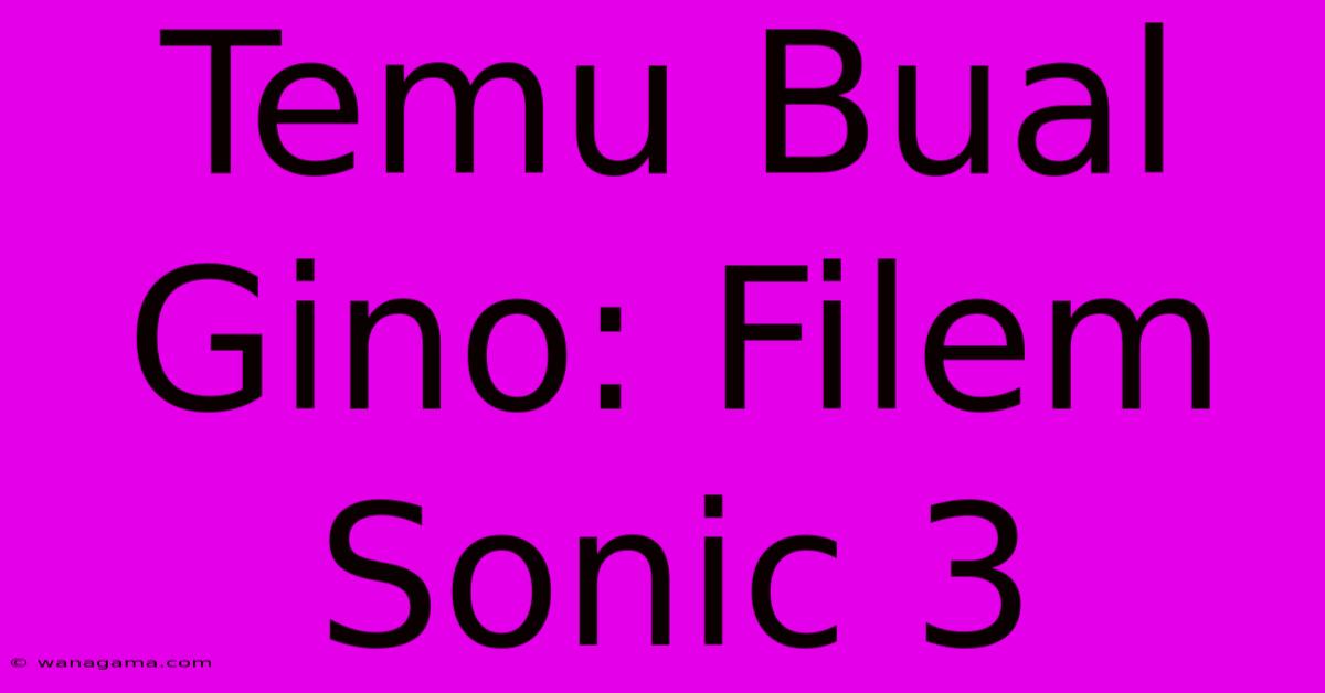 Temu Bual Gino: Filem Sonic 3