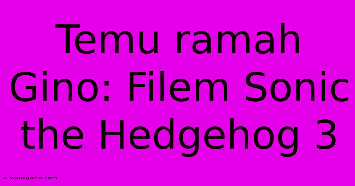 Temu Ramah Gino: Filem Sonic The Hedgehog 3