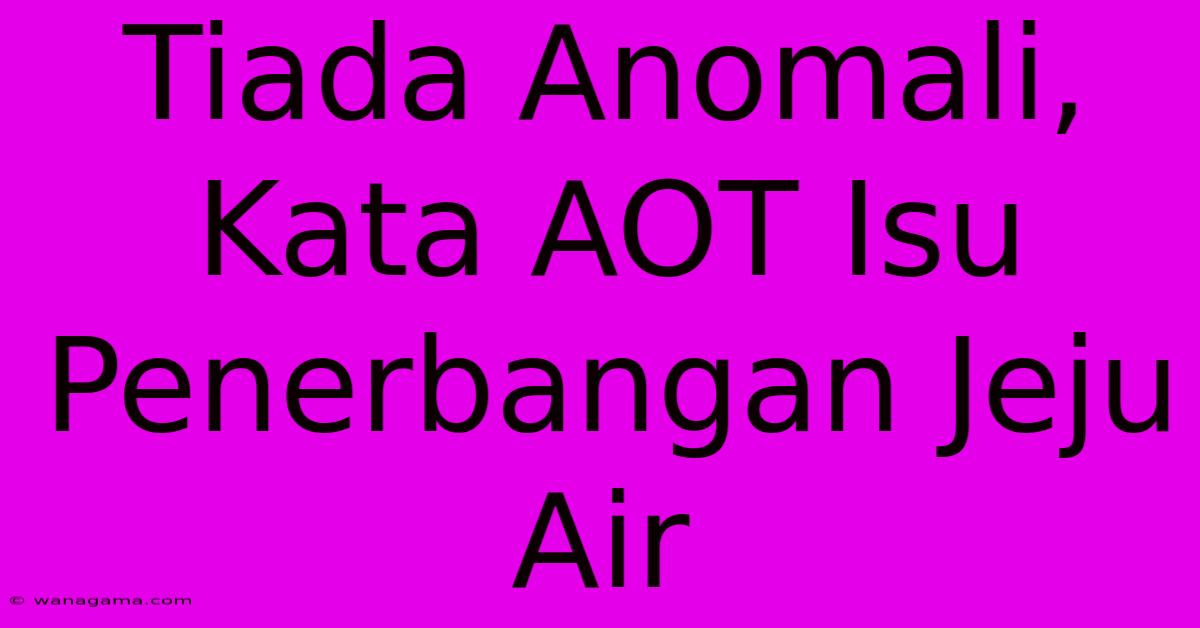 Tiada Anomali, Kata AOT Isu Penerbangan Jeju Air