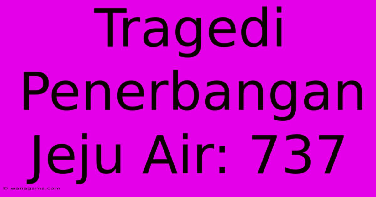 Tragedi Penerbangan Jeju Air: 737