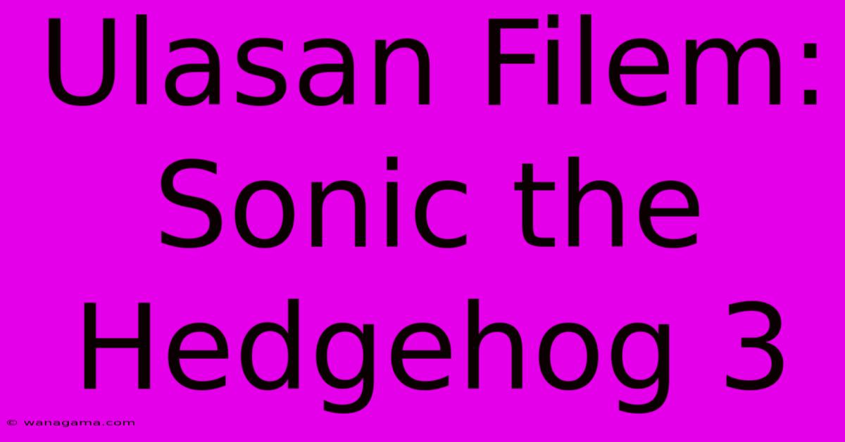 Ulasan Filem: Sonic The Hedgehog 3