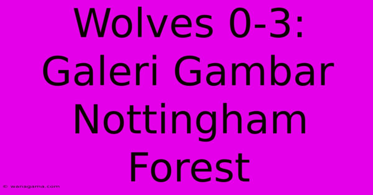 Wolves 0-3: Galeri Gambar Nottingham Forest