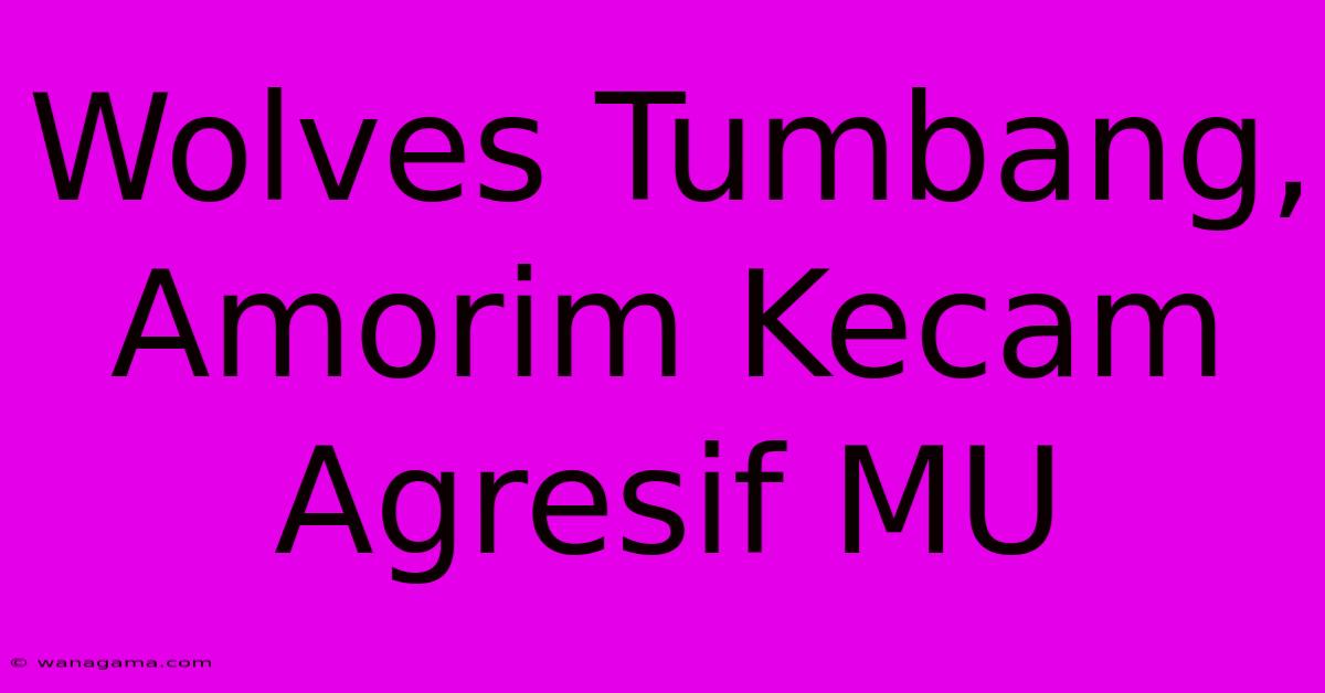 Wolves Tumbang, Amorim Kecam Agresif MU