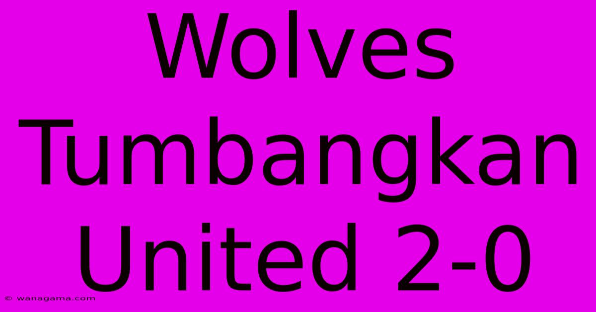 Wolves Tumbangkan United 2-0