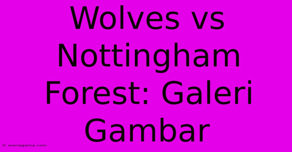 Wolves Vs Nottingham Forest: Galeri Gambar