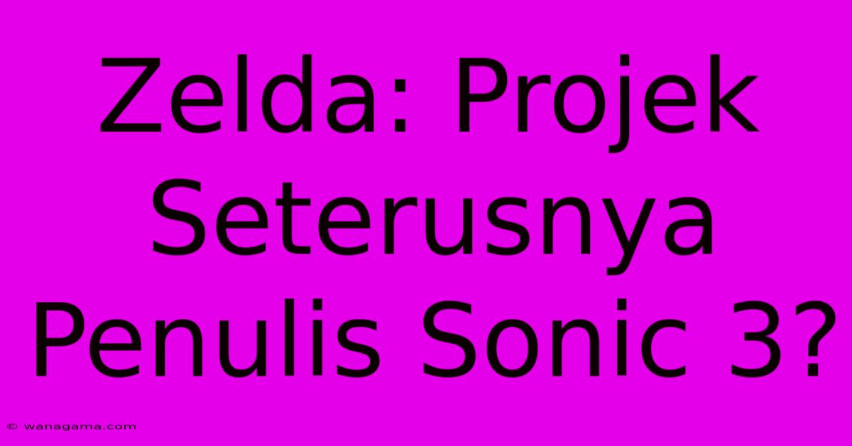 Zelda: Projek Seterusnya Penulis Sonic 3?